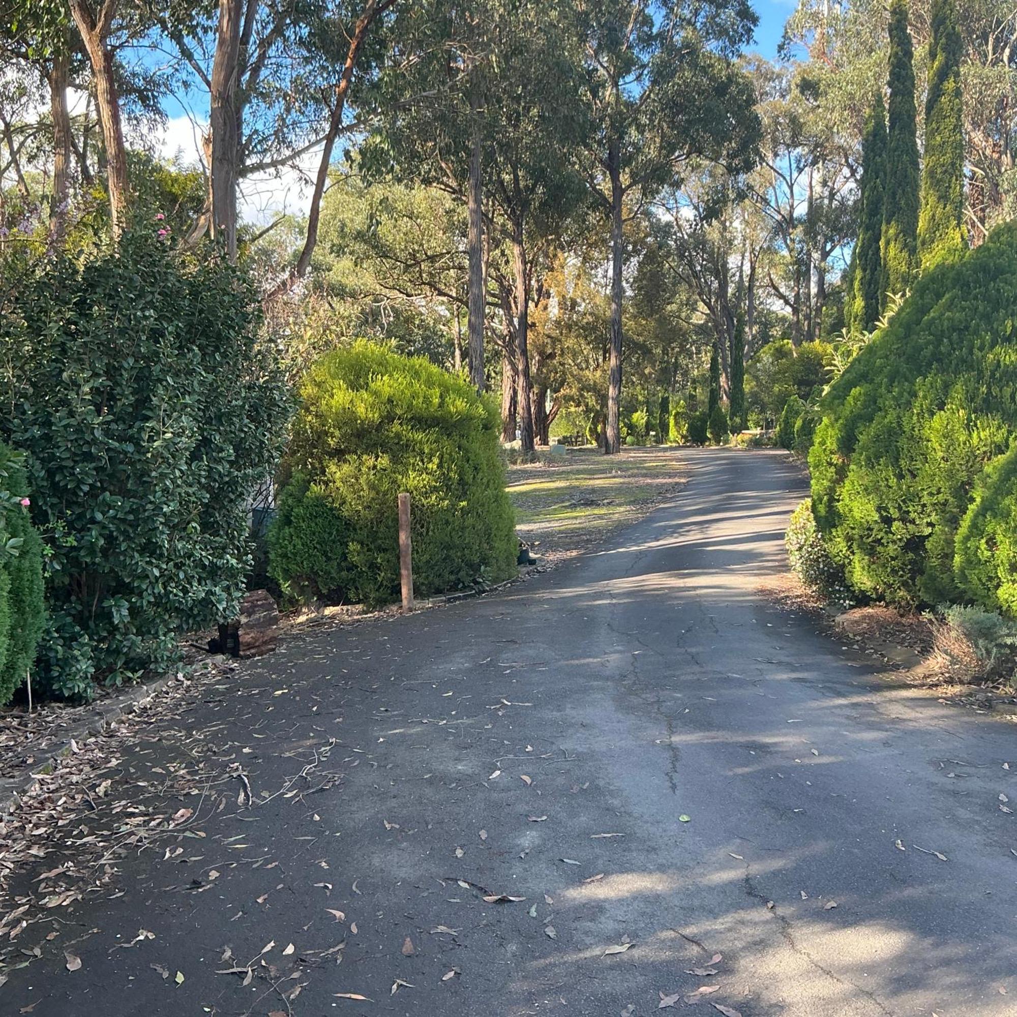 Sanctuary House Resort Motel Healesville Exteriér fotografie