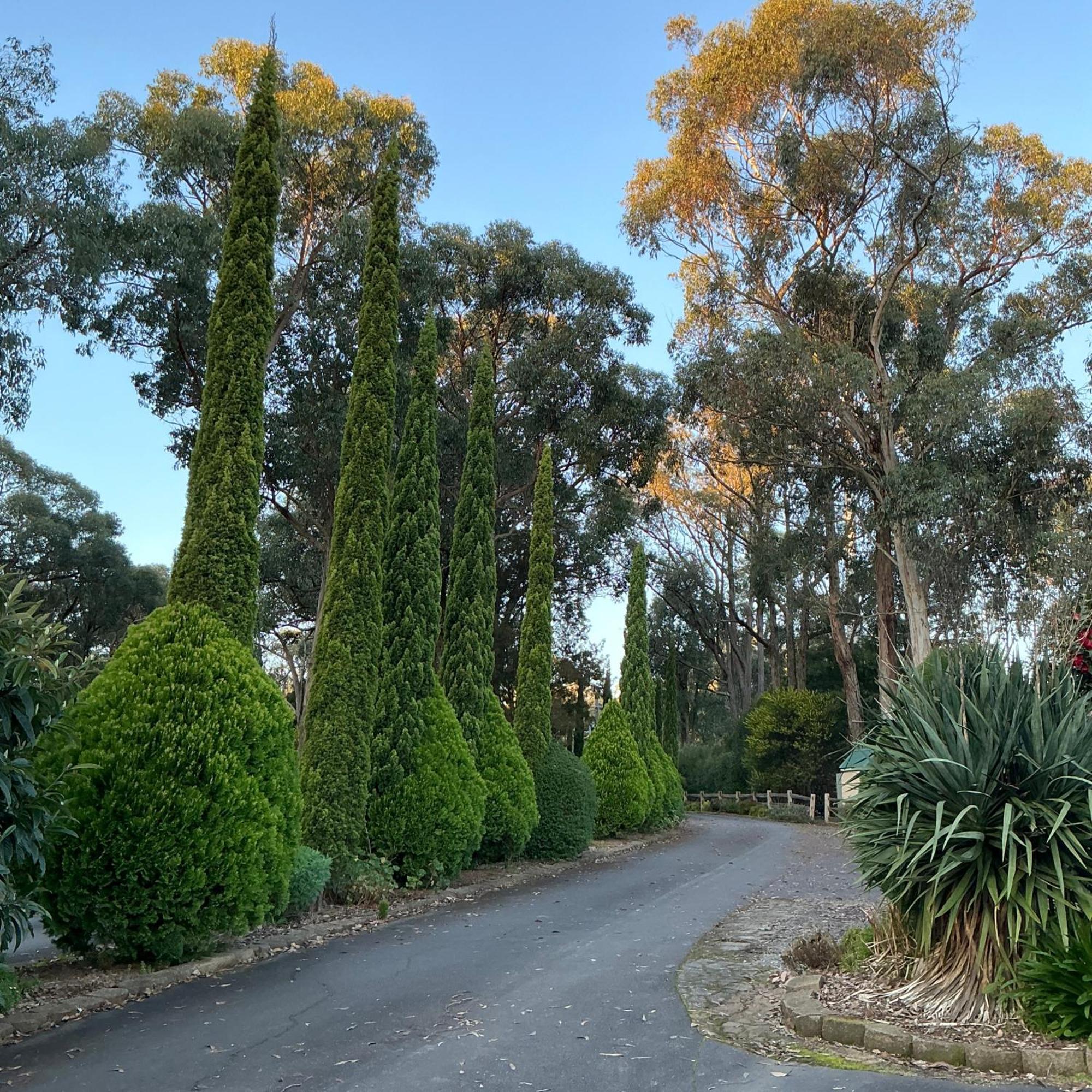 Sanctuary House Resort Motel Healesville Exteriér fotografie